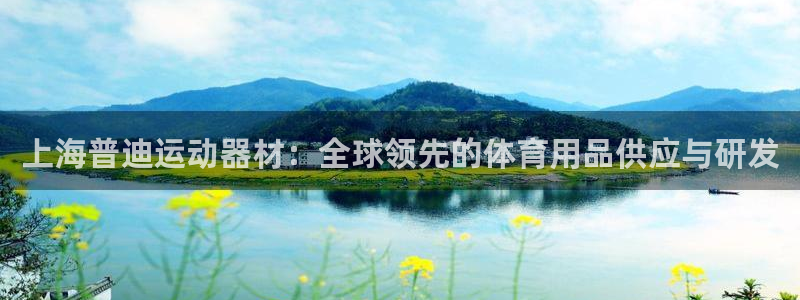 海南三亿体育官网下载:上海普迪运动器材:全球领先的体育用品供