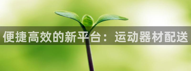 三亿体育官方正版app娱乐网站:便捷高效的新平台:运动器材配