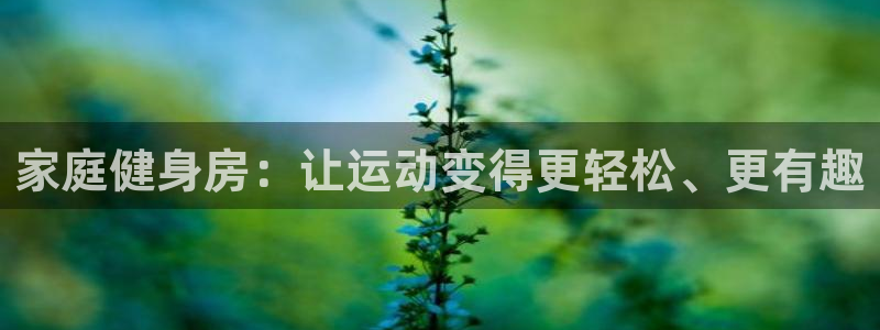 三亿体育官网下载招商:家庭健身房:让运动变得更轻松、更有趣
